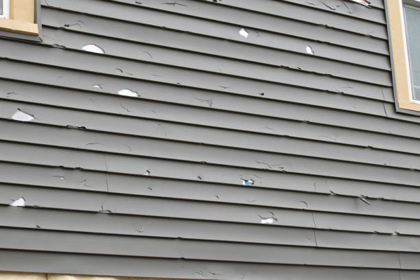 Affordable Siding Repair and Maintenance Services in Hailey, ID